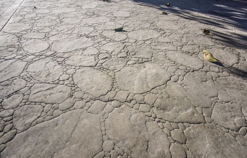 Decorative Concrete Repair in Littleton, CO